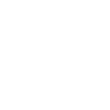 فلش
