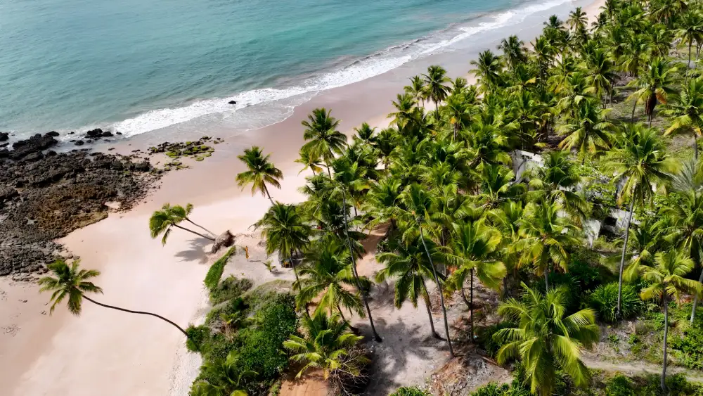 قیمت تور بمبئی و گوا