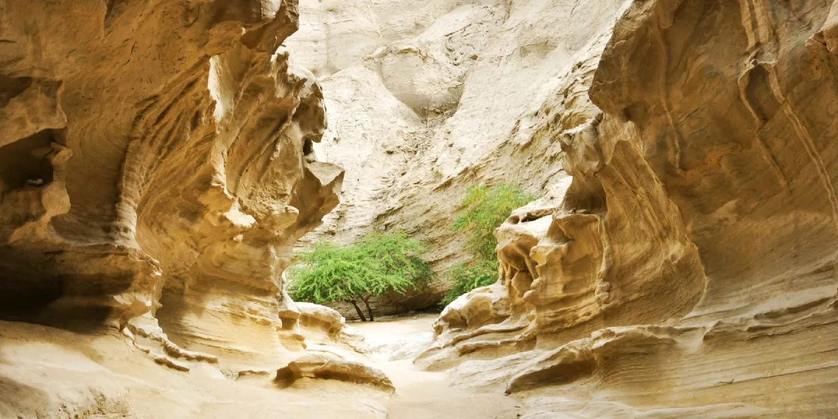 رزرو تور اقساطی قشم