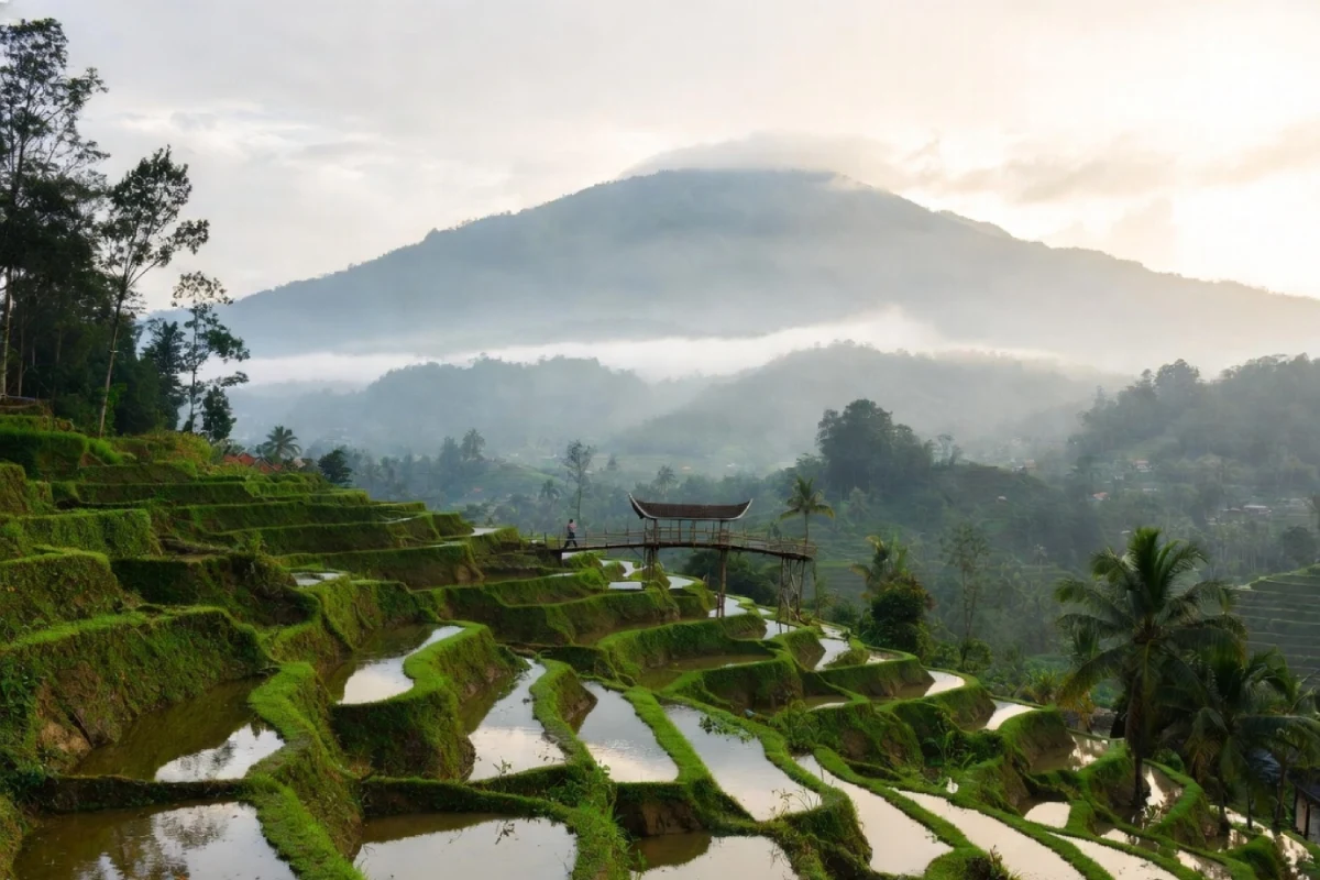 تور لحظه آخری اندونزی