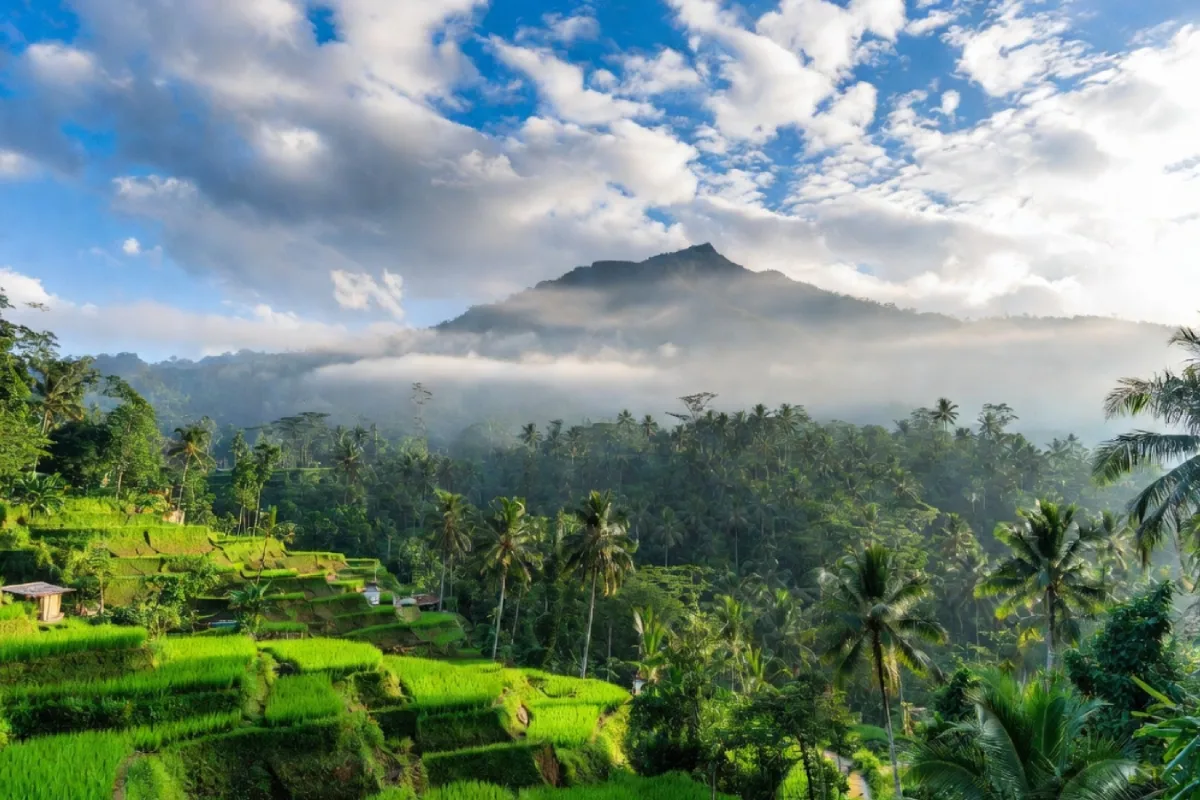 رزرو تور بالی